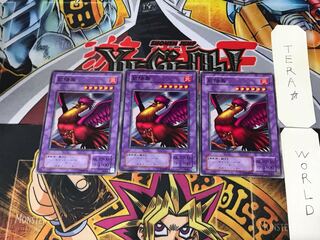 紅陽鳥 B3 2期ver 2 ノーマル 3枚セット てら