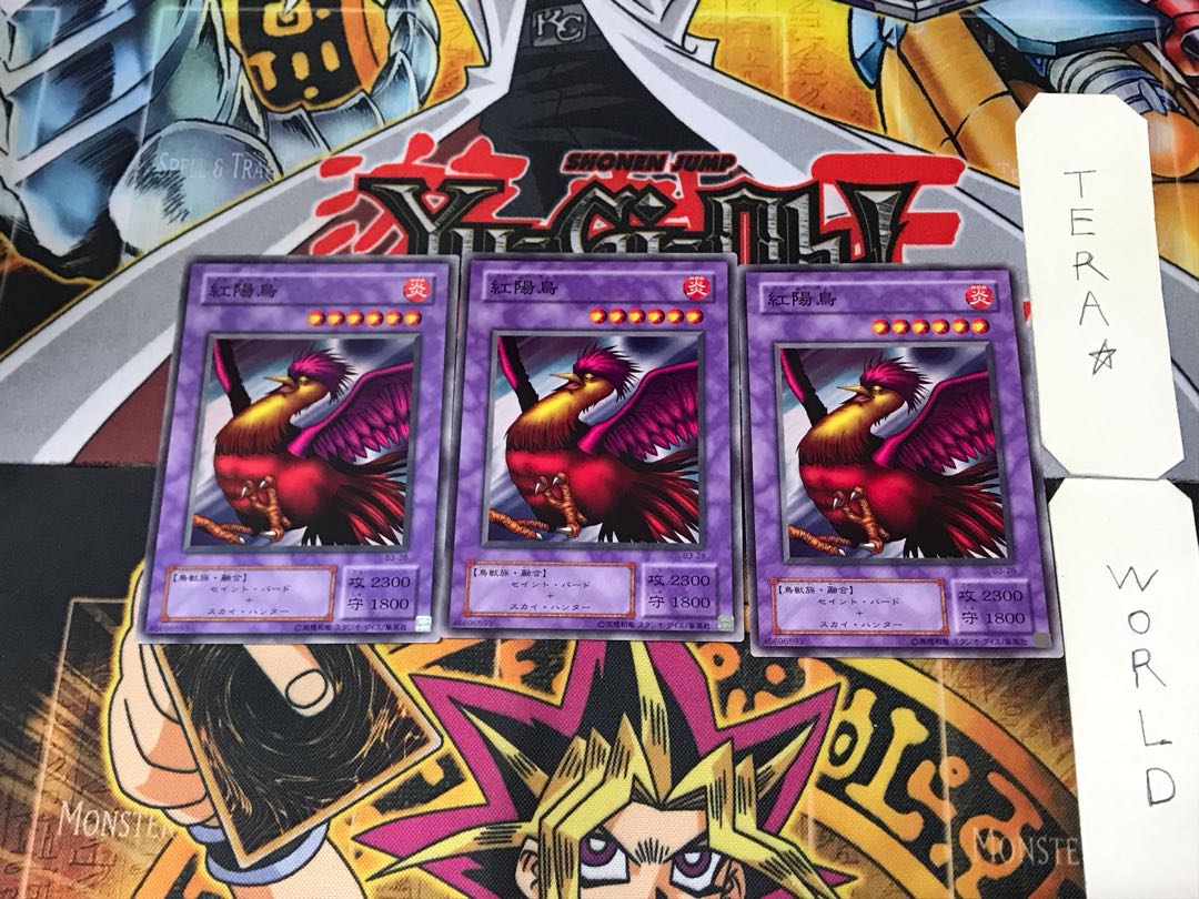 紅陽鳥 B3 2期ver 3 ノーマル 3枚セット てら