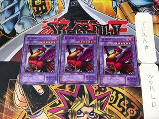 紅陽鳥 B3 2期ver 3 ノーマル 3枚セット てら