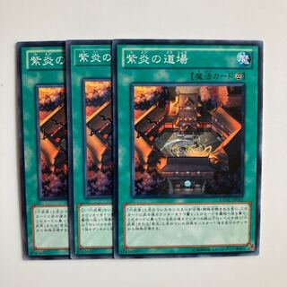 紫炎の道場 $4650