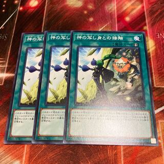 El Shaddoll Fusion Normal JP024 3