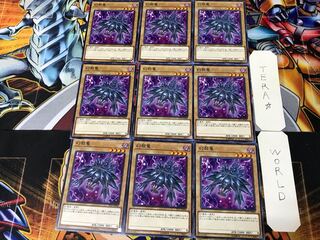 Mystery Shell Dragon ST17 3 Normal 9-card set Tera