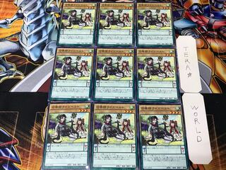 召喚師ライズベルト SD31 1 ノーマル 9枚セット てら