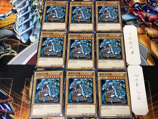 Blue-Eyes White Dragon SD22 2 Normal 9-card set Tera