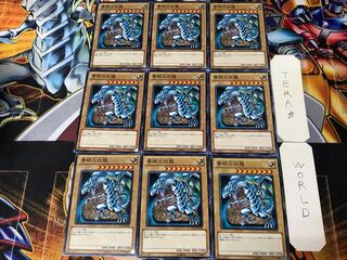 Blue-Eyes White Dragon SD22 3 Normal 9-card set Tera