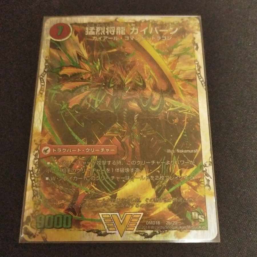 Shoryu Ken Gaiairu|Raging Shoryu Gaiban (Super Deck Spec.) VIC 2a/20|2b/20