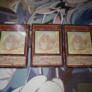 Melffy Puppy Rare JP019