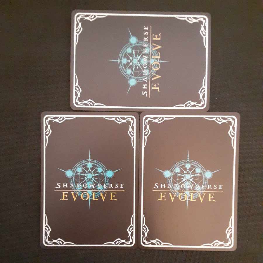 Valiant Fencer LG 3 pieces