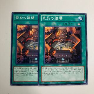 紫炎の道場　$4733