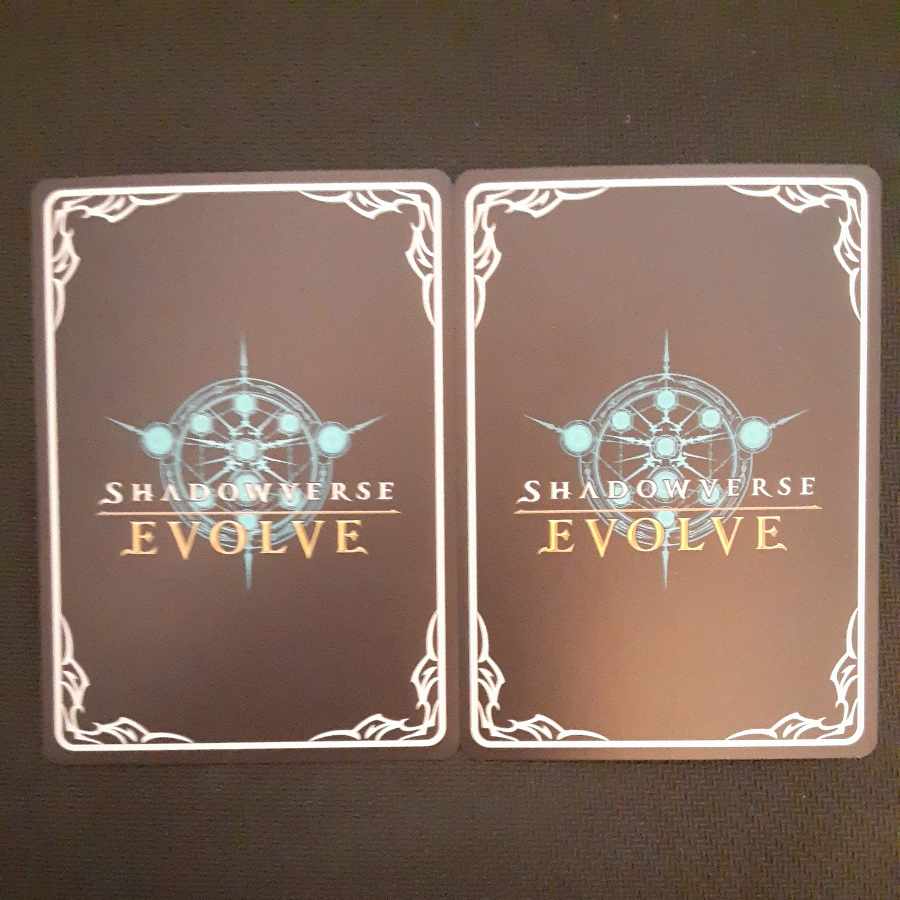 〔徹底管理主義〕樫本理子 LG 2枚