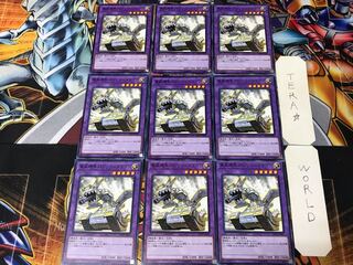 Panzer Dragon DP19 4 Normal, set of 9 Tera.