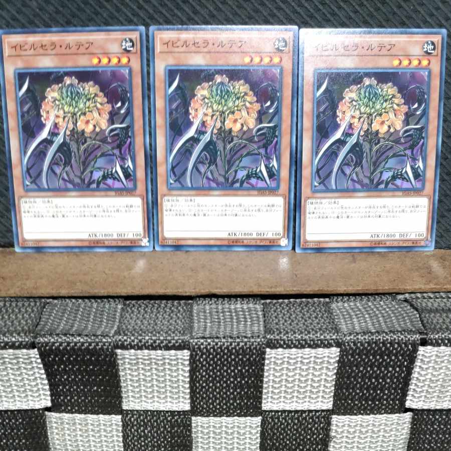 【ぽぽたん】遊戯王 #742 イビルセラ・ルテア ノーマル3枚