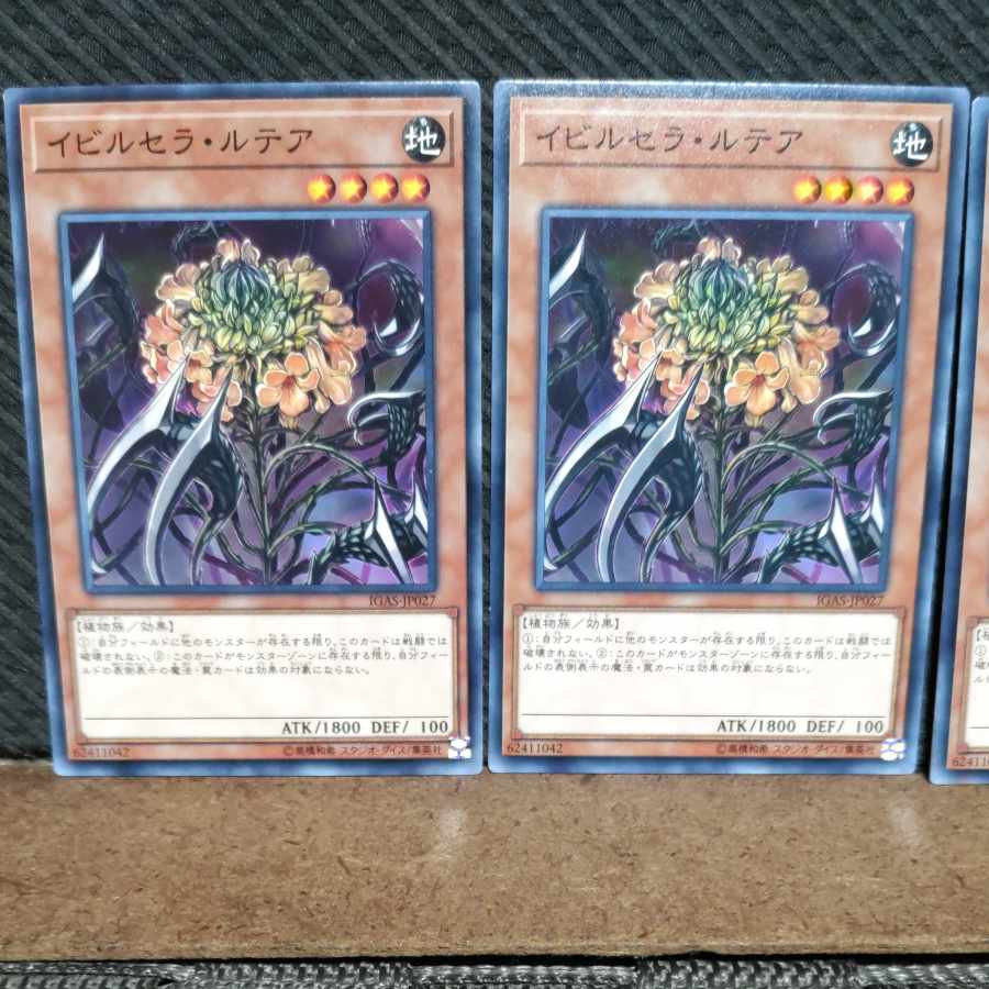 【ぽぽたん】遊戯王 #742 イビルセラ・ルテア ノーマル3枚