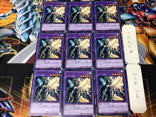 Invoked Raidjin LVP1 1 Normal Set of 9 Tera