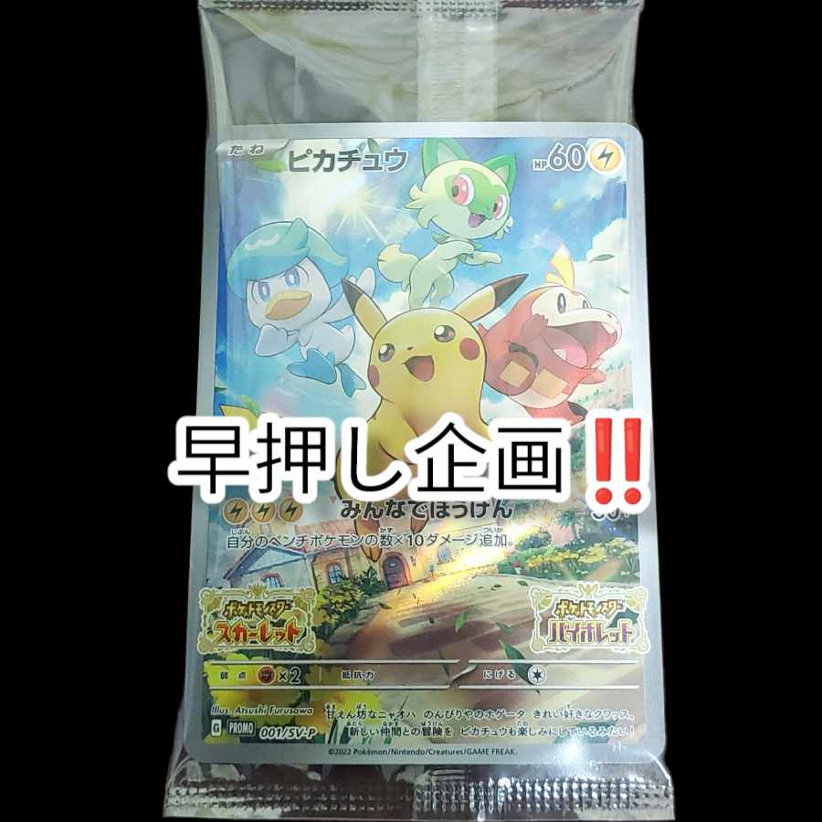 Pikachu Promo Reduction Project!　We'll make it $500 by the end of January... Like and follow us to participate! Pokémon cards Pokémon Cards