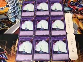 Allvain the Essence of Vanity DAMA 2 Normal 9-card set Tera