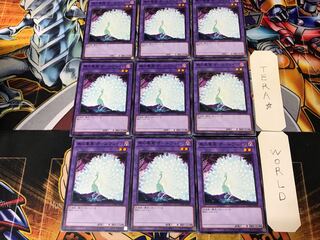 Allvain the Essence of Vanity DAMA 3 Normal 9-card set Tera