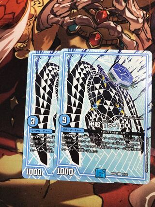 Carapace TS-10 C 12/25