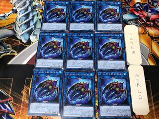 Paleozoic Cambroraster LIOV 2 Normal, set of 9 Tera.