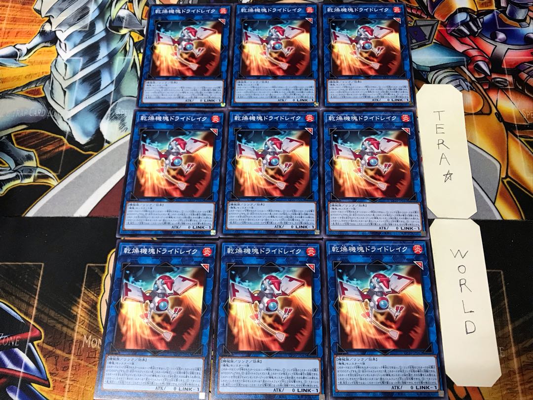 Appliancer Dryer Drake CP20 2 Normal Set of 9 Tera