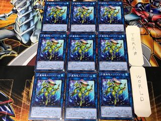 計量機塊カッパスケール CP20 3 ノーマル 9枚セット てら