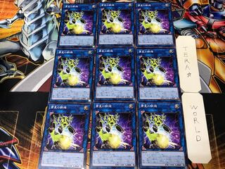 Steel Star Regulator WPP2 1 Normal, set of 9 Tera.