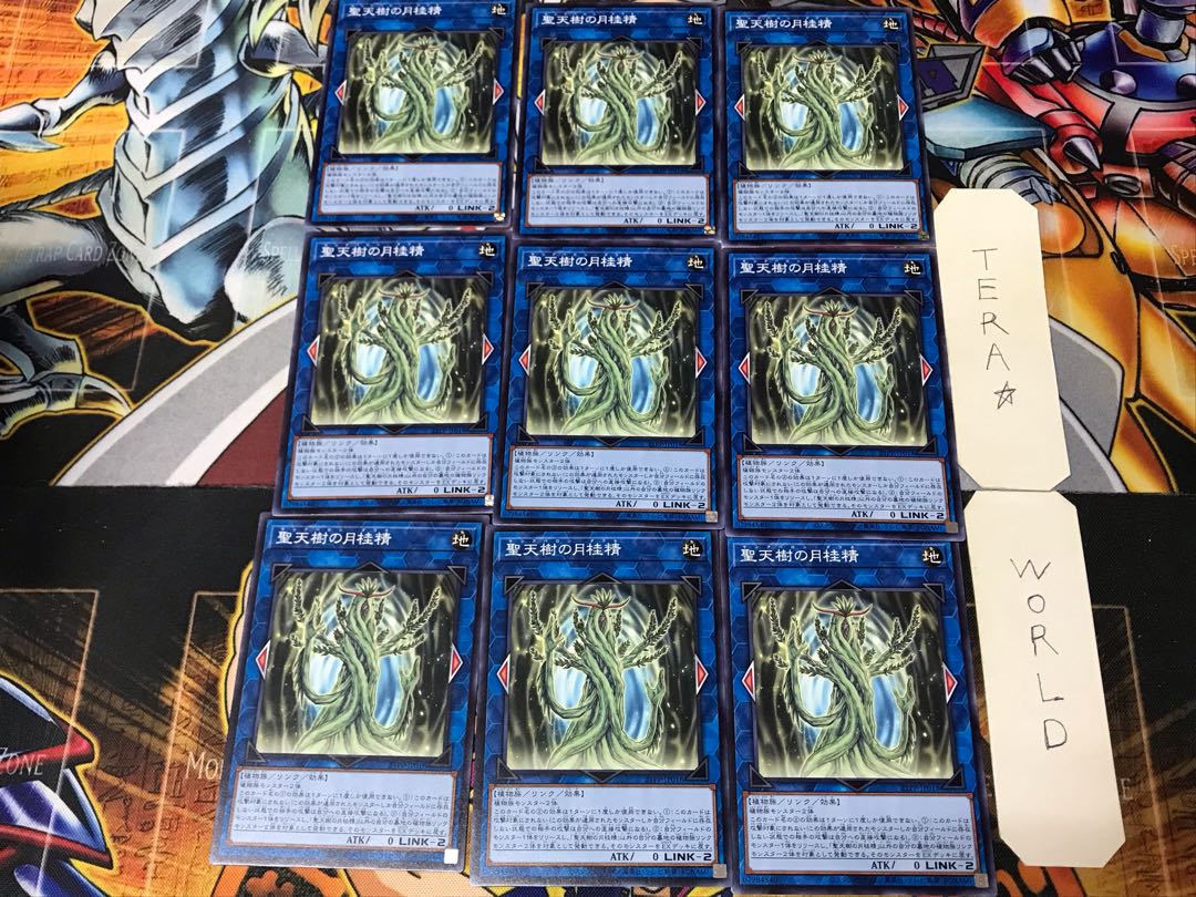 Sunavalon Daphne 21PP 4 Normal Set of 9 Tera