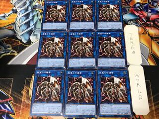 Sunvine Gardna SLT1 1 Normal, set of 9 tera