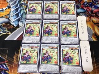 Iroha Momiji BACH 1 Normal, set of 9 Tera