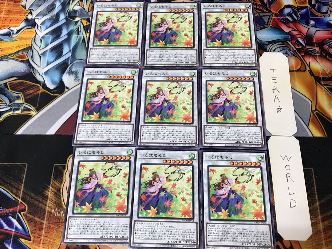 Iroha Momiji BACH 3 Normal, set of 9 Tera.