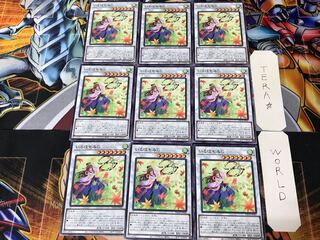 Iroha Momiji BACH 3 Normal, set of 9 Tera.