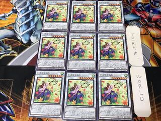 Iroha Momiji BACH 4 Normal, set of 9 Tera.