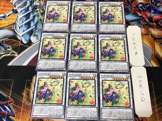 Iroha Momiji BACH 5 Normal, set of 9 Tera.