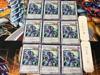 Junk Warrior DP08 2 Normal, set of 9 Tera.