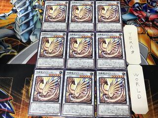 甲纏竜ガイアーム DAMA 3 ノーマル 9枚セット てら