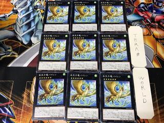 Dragonlark Pairen DAMA 5 Normal Set of 9 Tera