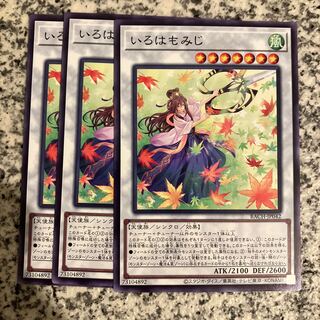 Iroha momiji normal JP042