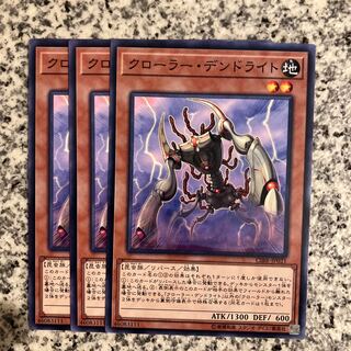 Krawler Dendrite Normal JP021 1枚