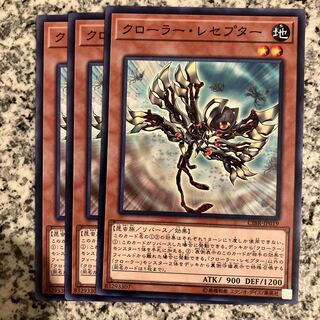 クローラー・レセプター ノーマル JP019