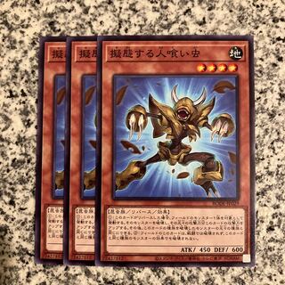 擬態する人喰い虫 ノーマル JP029