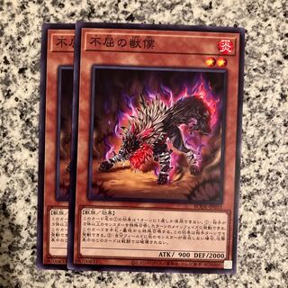 Undaunted Bumpkin Beast Normal JP033