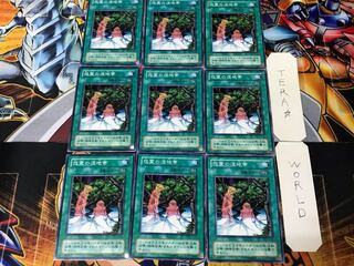 怨霊の湿地帯 LN 2期ver 1 ノーマル 9枚セット てら