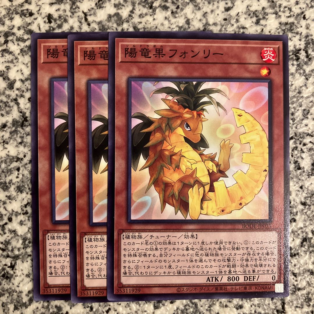 陽竜果フォンリー ノーマル JP031