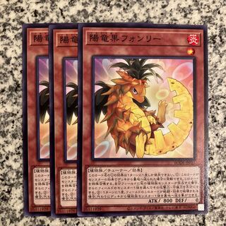 陽竜果フォンリー ノーマル JP031