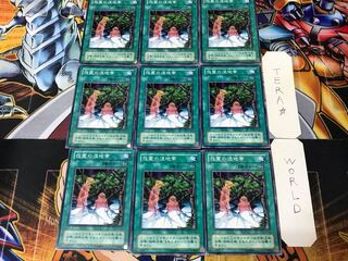 怨霊の湿地帯 LN 2期ver 2 ノーマル 9枚セット てら