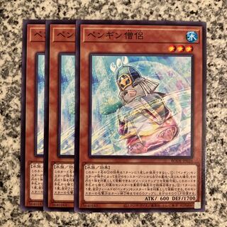 ペンギン僧侶 ノーマル JP026