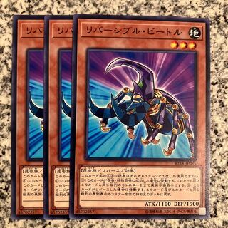 リバーシブル・ビートル ノーマル JP035