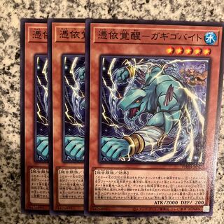 Awakening of the Possessed-Gigobyte Normal JP020