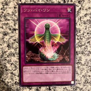 ワン・バイ・ワン レア JP078
