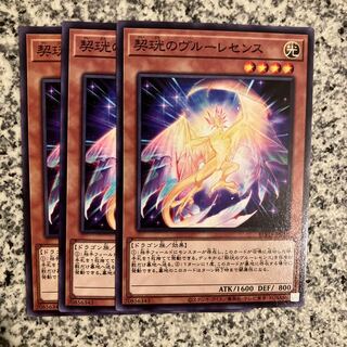 Kikou no Vroulesense Normal JP031